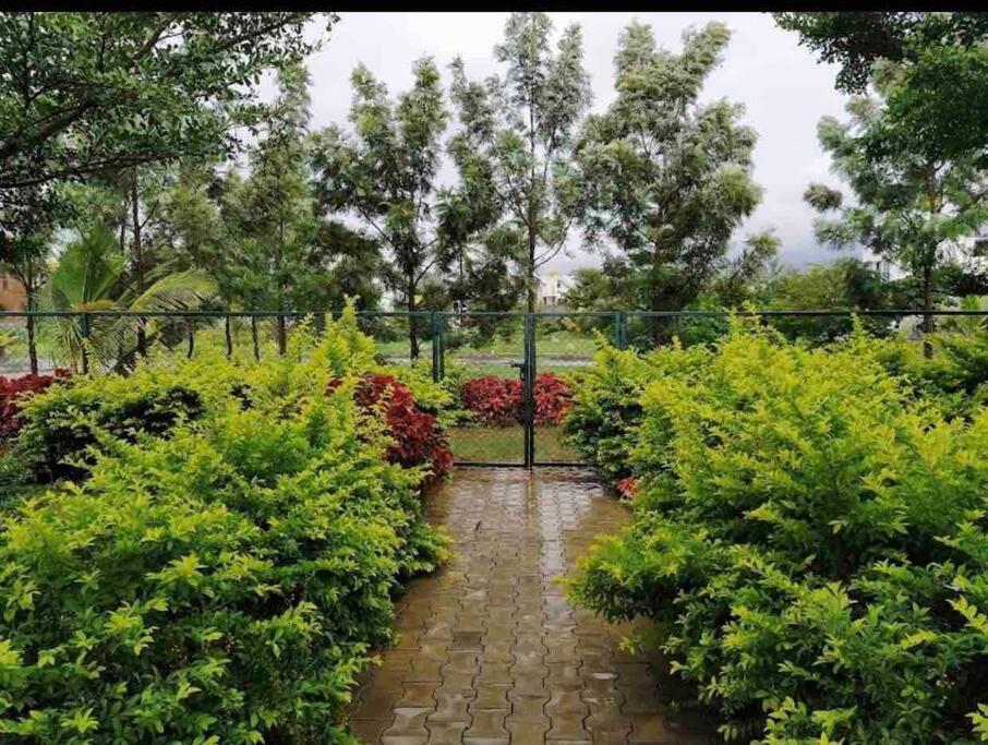 A Glass Haven , Nandi Hills Nandigunda Ngoại thất bức ảnh